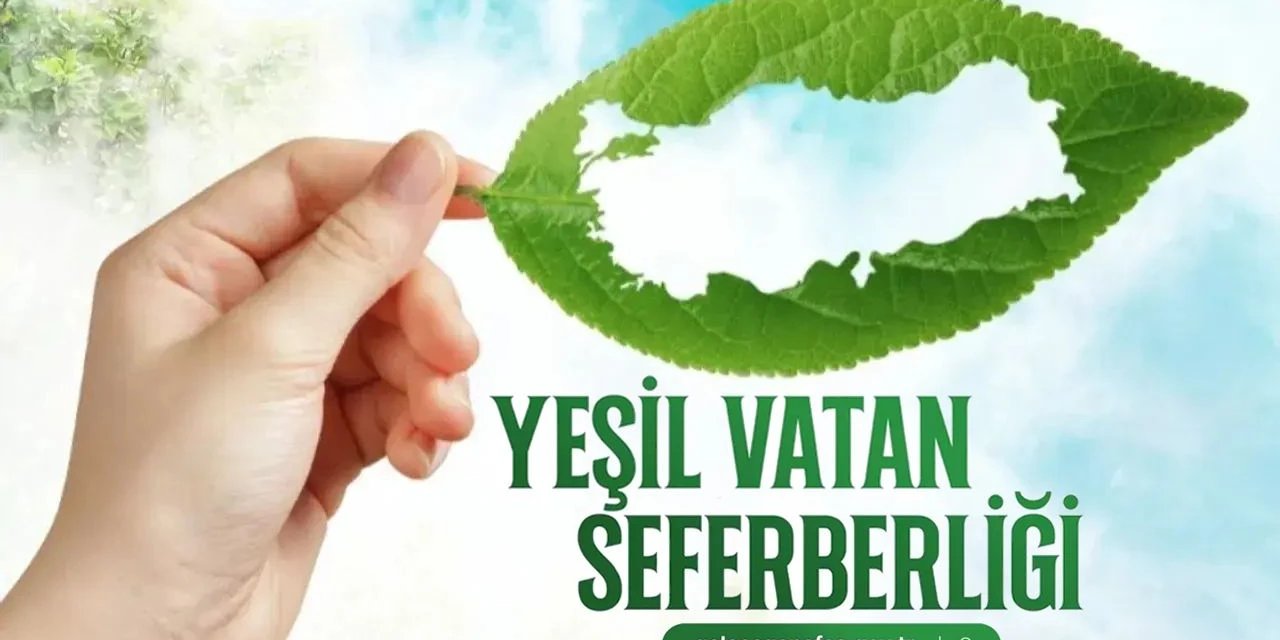 Şırnak Valisi Birol Ekici, “Yeşil Vatan Seferberliği”ne Katılarak Fidan Sahiplendi