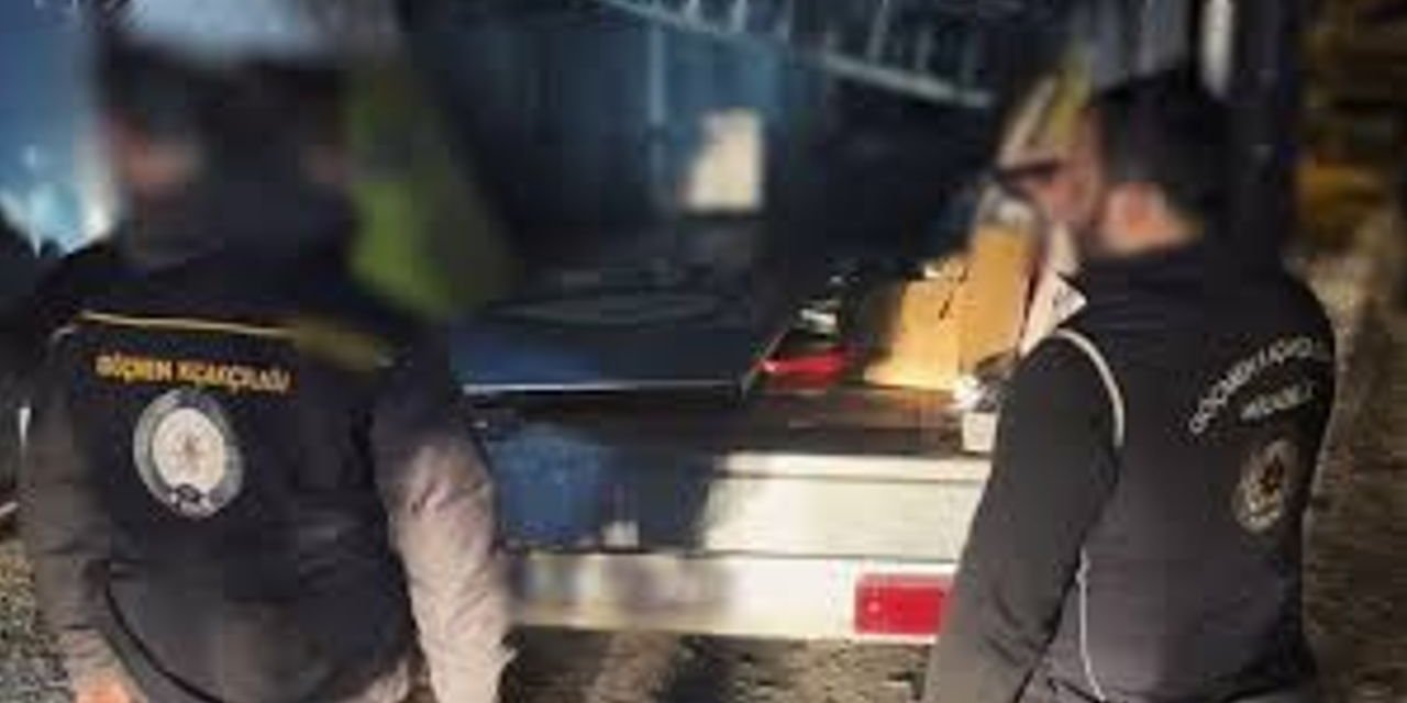 Bitlis'te kamyonette gizli bölmede 12 kaçak göçmen yakalandı