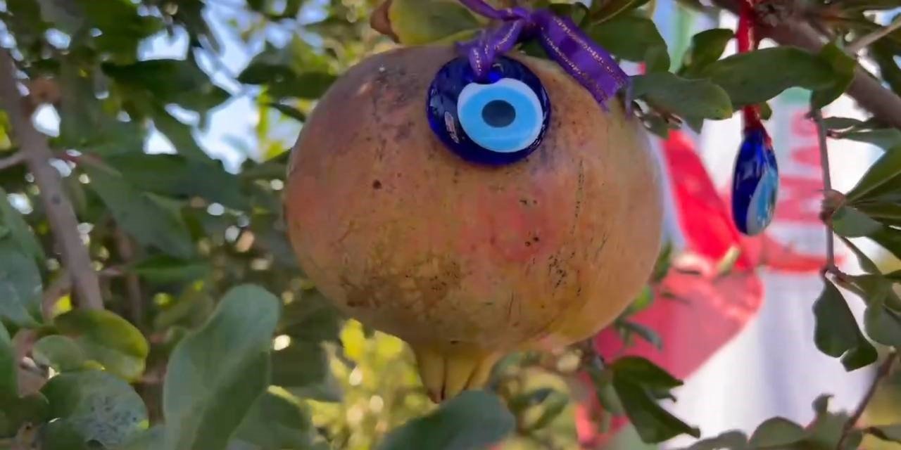 Ab Tescilli Suruç Narında Hasat Dönemi Başladı