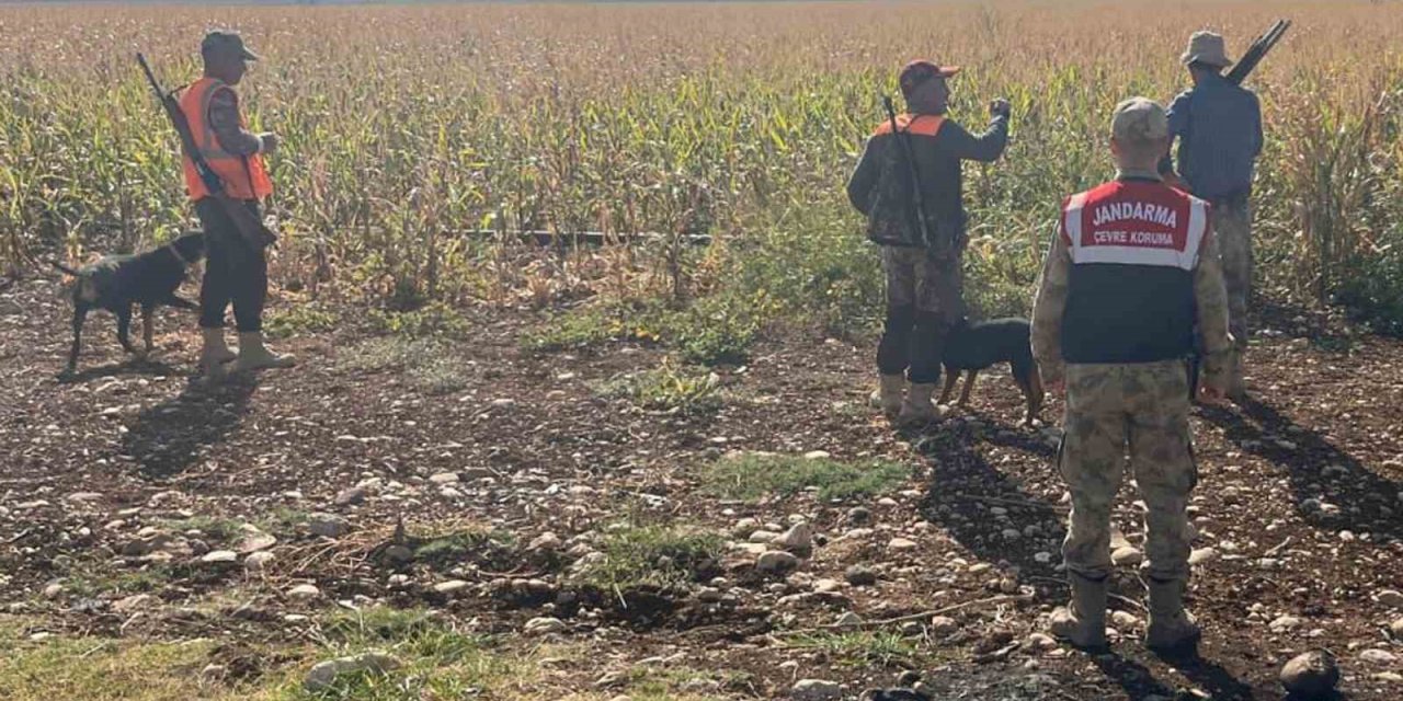 Tarım Arazilerine Zarar Veren Yaban Domuzları İçin Sürek Avı Yapıldı