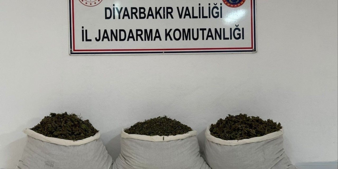 Diyarbakır’da 15 Kilo Skunk Ele Geçirildi