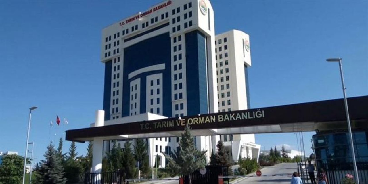 Tarım ve Orman Bakanlığı Personel Alacak! Başvurular Başladı