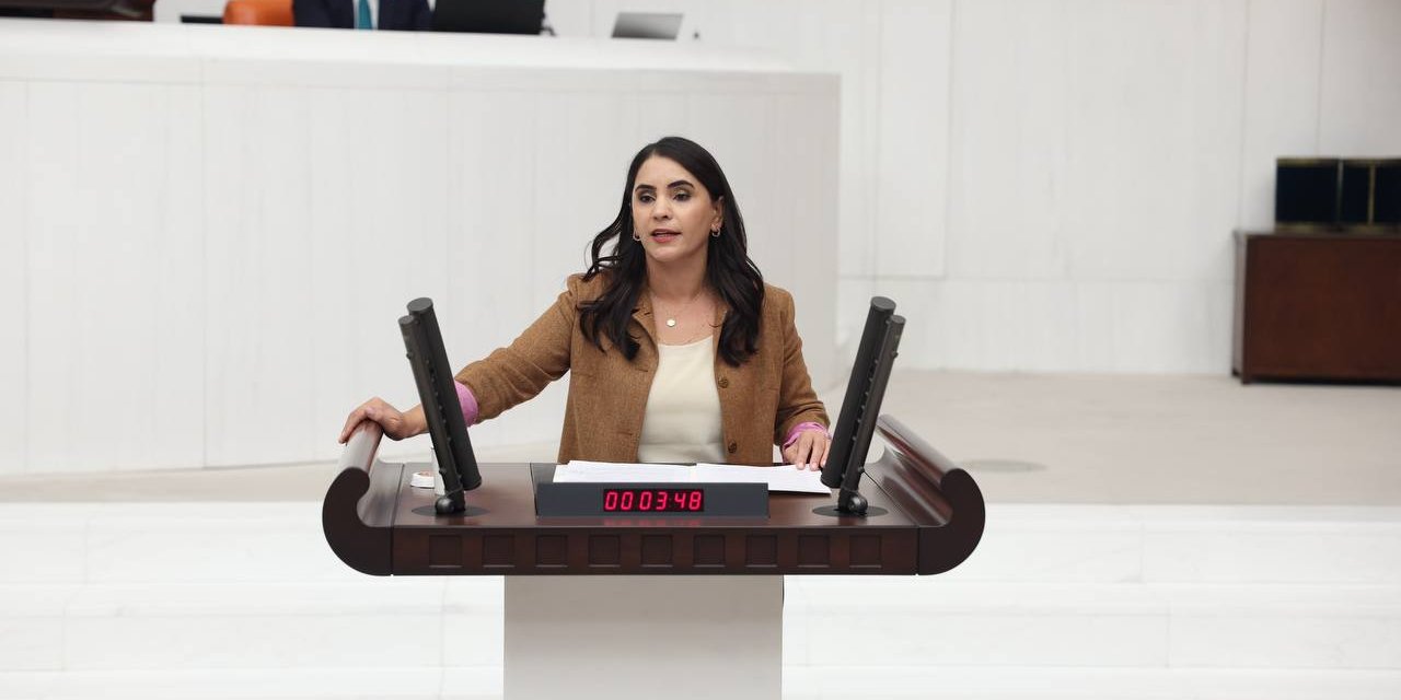 DEM Partili Aslan’dan Şırnak Üniversitesi’ndeki Usulsüzlük İddialarına Soru Önergesi