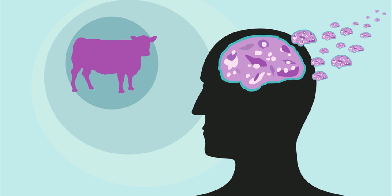 “Beyni Süngere Çeviren” Tehdit: Deli Dana Hastalığı Geri Mi Dönüyor?