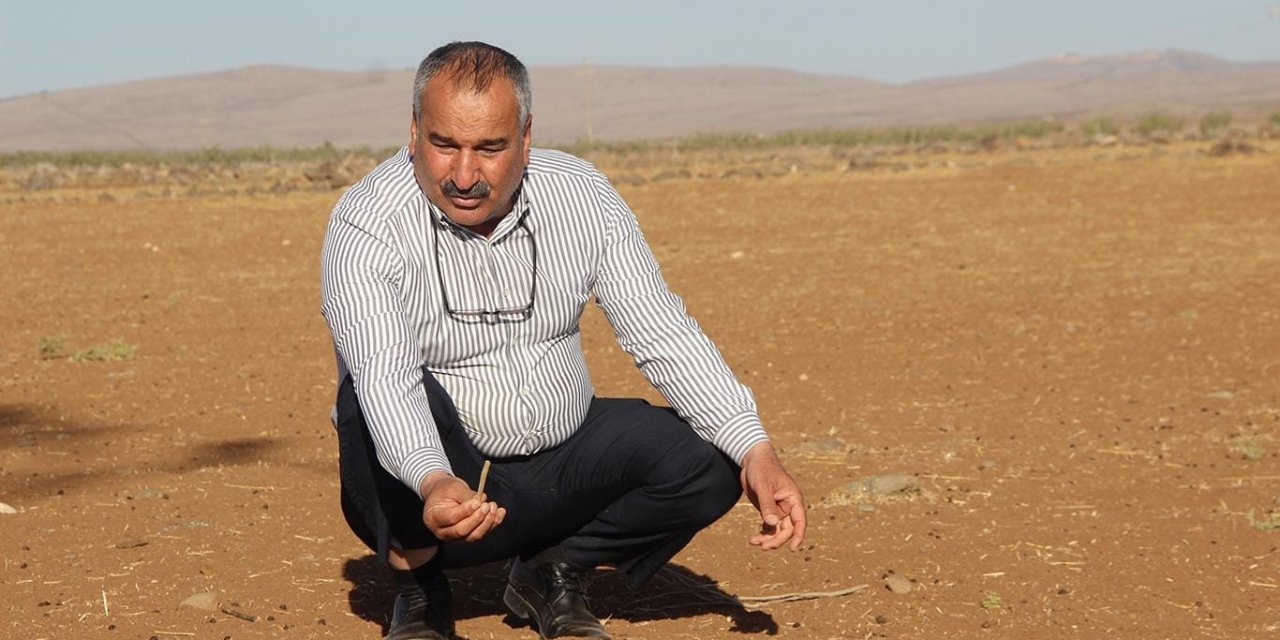 Şırnak’ta Kuraklık Alarmı: “Yağmur Yağmadı, Verim Sıfır” – Çiftçiler Devletten Destek Bekliyor