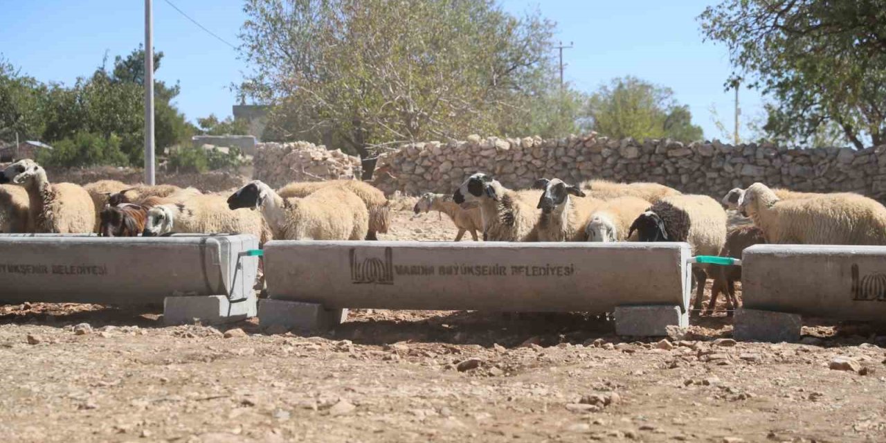 Mardin Büyükşehir Belediyesi 5 İlçede 330 Adet Sıvat Dağıttı