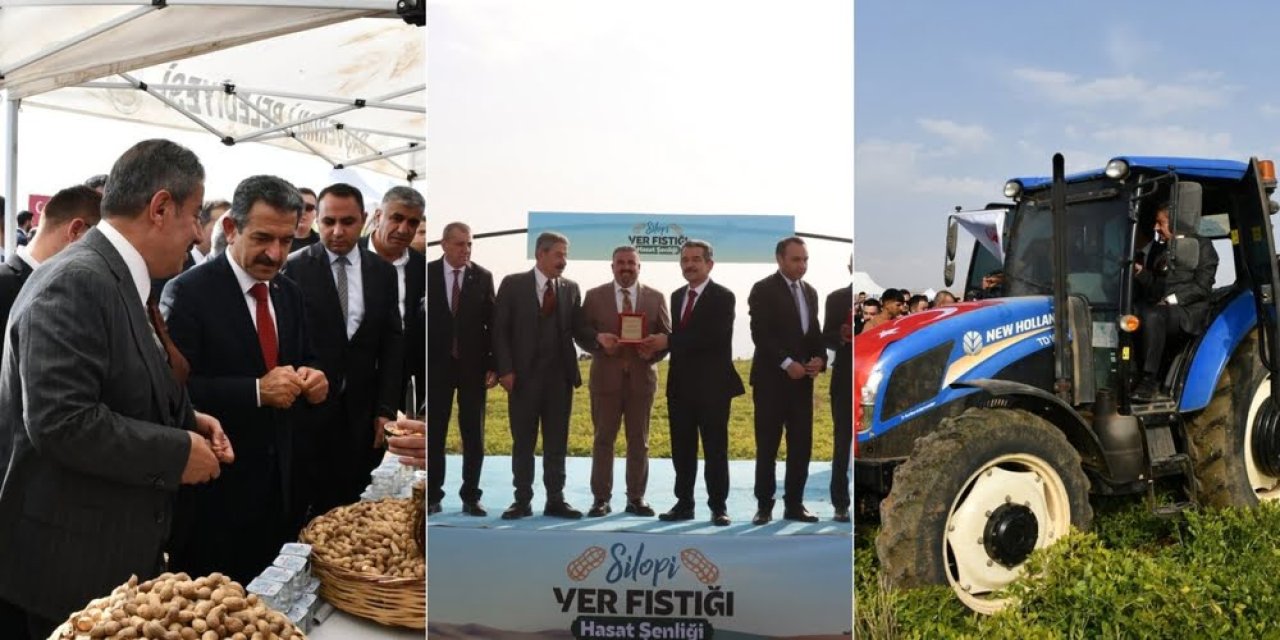 Şırnak’ta yer fıstığı hasat şenliği düzenlendi