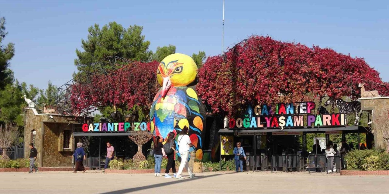 Ara Tatile Çıkan Öğrenciler Soluğu Hayvanat Bahçesinde Aldı