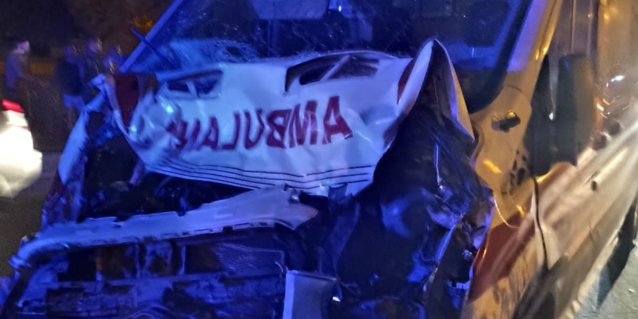 Hasta taşıyan ambulans yolda mandaya çarptı