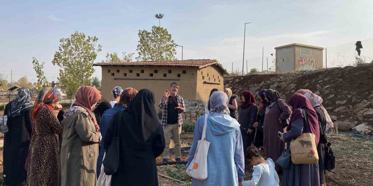Kadınlar Tıbbi Ve Aromatik Bitkileri Yerinde Tanıyor