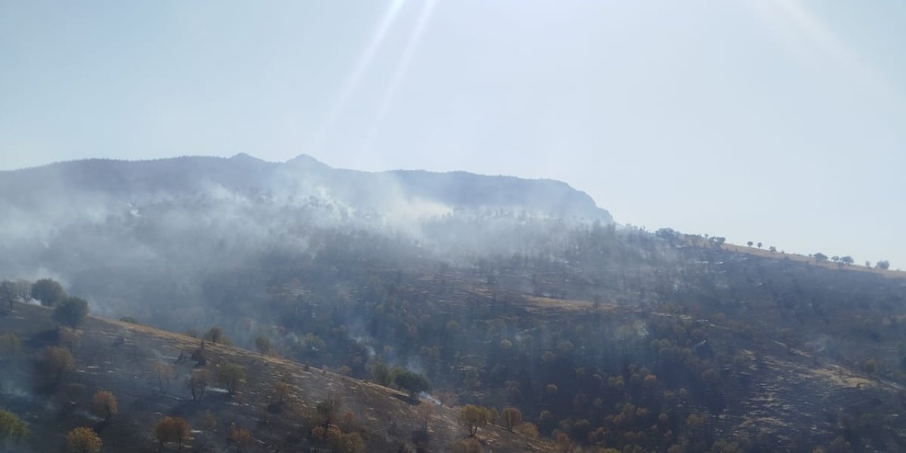 Cudi Dağında Yangın Çıktı