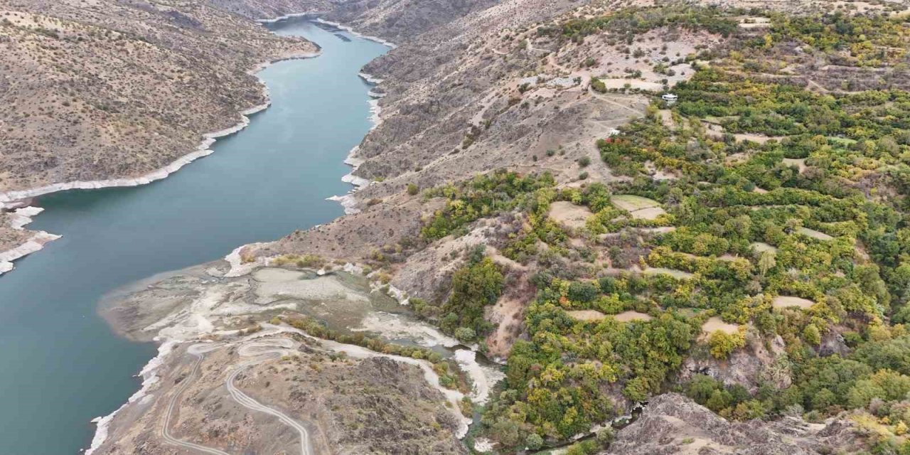 Diyarbakır'da Bu Köy Karadeniz ve Akdeniz İklimini Yaşıyor: Portakal, Fındık ve Limon Yetiştiriliyor