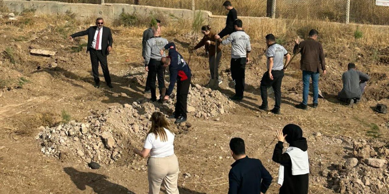 Şırnak Şerafettin Elçi Havalimanında fidanlar toprakla buluşturuldu