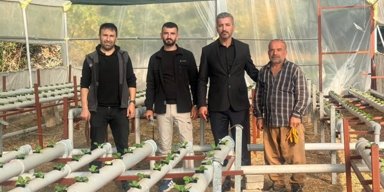 Uludere’de Topraksız Tarımla Üretilen Marullar Dikkat Çekti