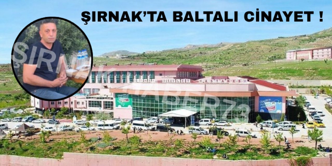 Şırnak'ta Baltalı Cinayetin Detayları Belli Oldu: Katil Yakalandı