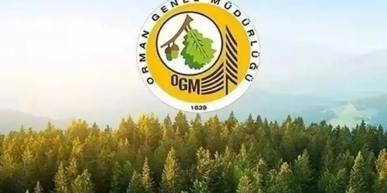 OGM, 496 Personel Alacak!  İşte Şırnak’ta Alınacak Personel Sayısı