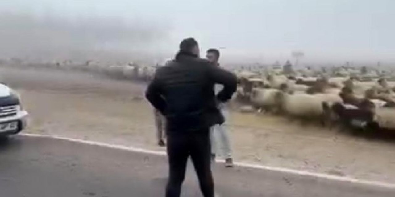 Siirt'te sis kazaya neden oldu: 3 koyun telef oldu