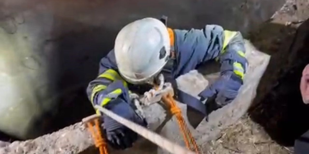 Su Kuyusuna Düşen Çakalı İtfaiye Ekipleri Kurtardı