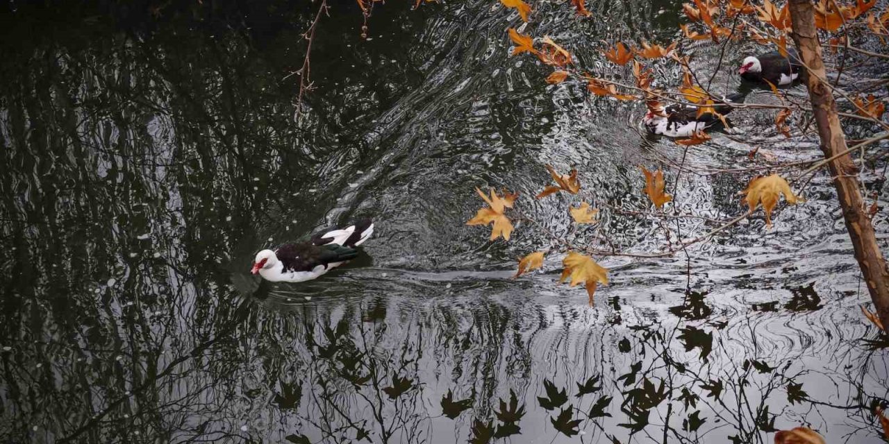 Savur, Doğal Güzelliğiyle Ziyaretçileri Mest Ediyor