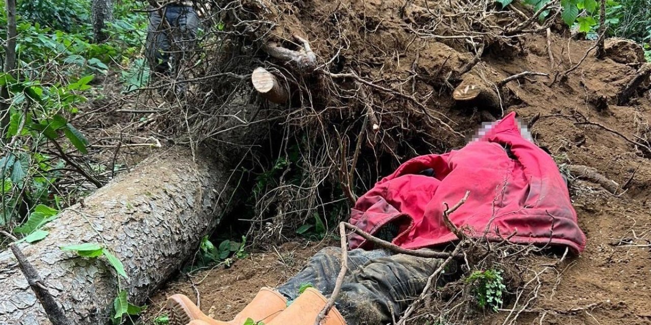 Kestiği ağacın altında kalan kişi hayatını kaybetti