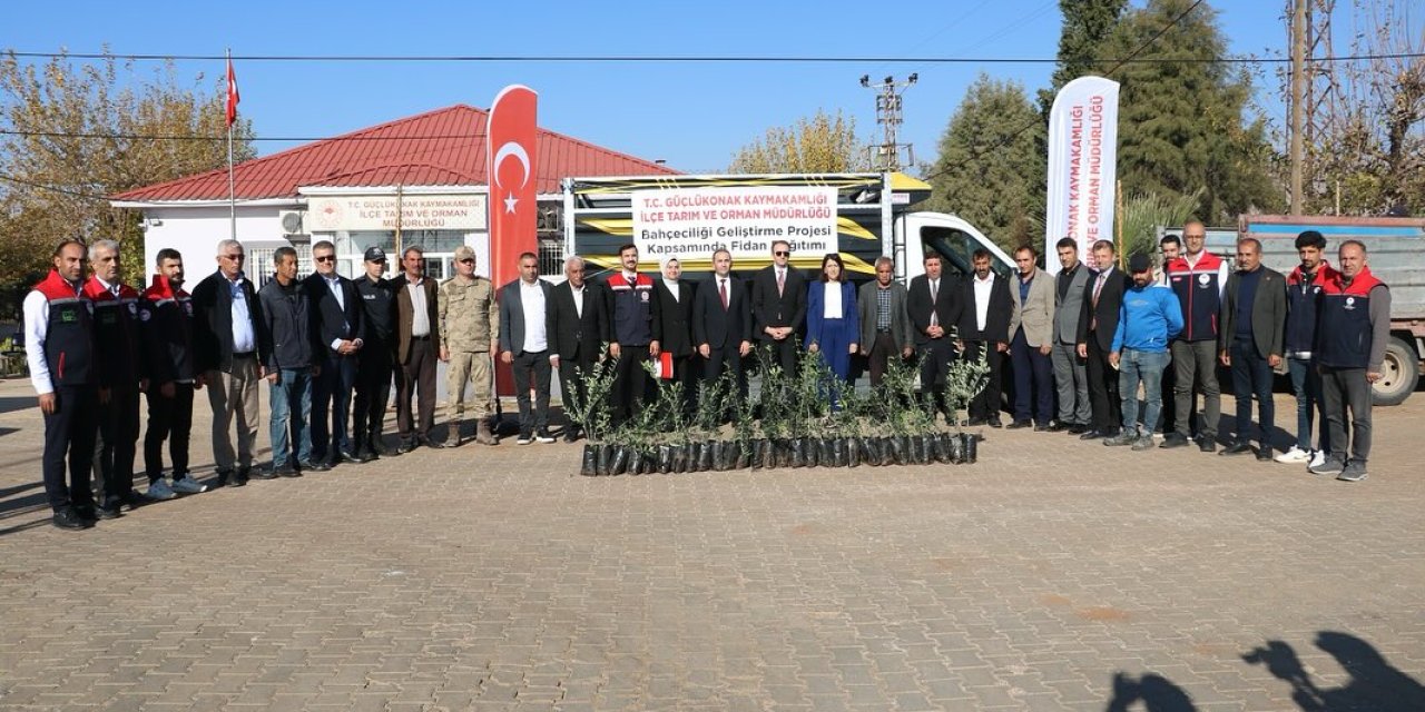 Şırnak’ta Zeytin Atağı: “Zeytinde Gelişiyor” Projesiyle 4 Bin Fidan Toprakla Buluştu