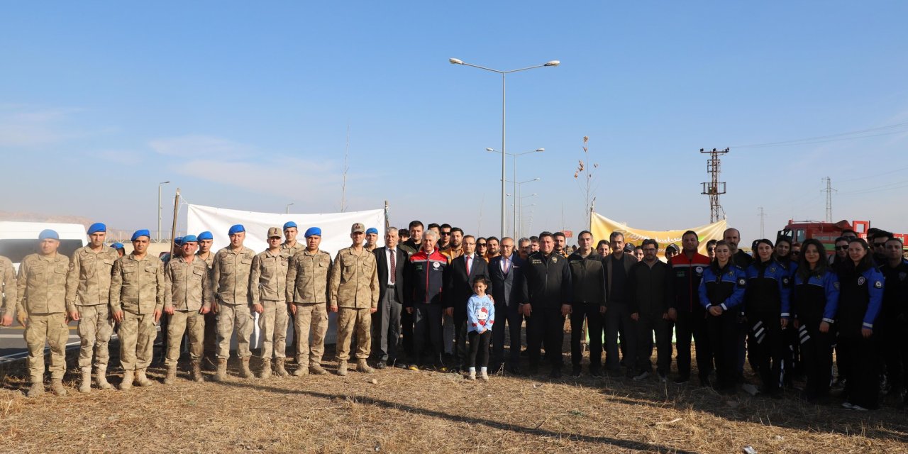 Cizre’de Havaalanı Yoluna 450 Fidan Dikildi: İlçe Yeşile Boyanıyor!