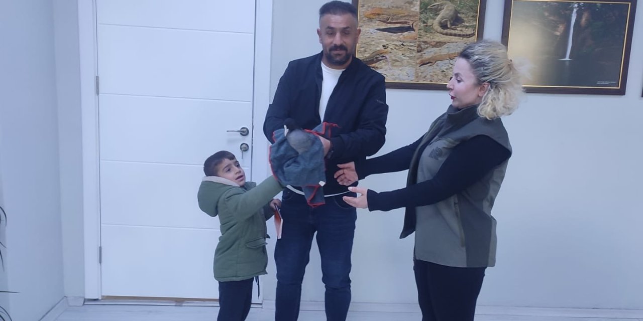 Şırnak’ta Duyarlı Vatandaştan Örnek Davranış: Yaralı Sakarmeke Tedavi Altına Alındı