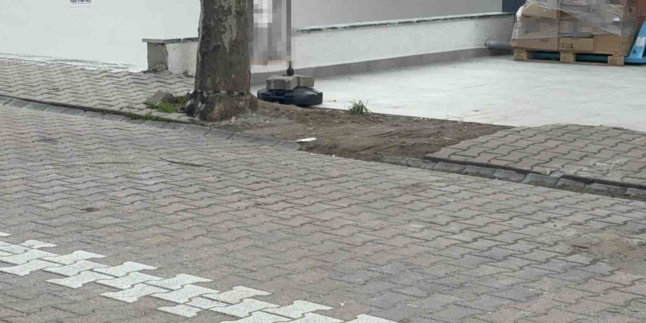 Çöpe atmak için yerden aldığı poşetin içinden 60 bin dolar çıktı