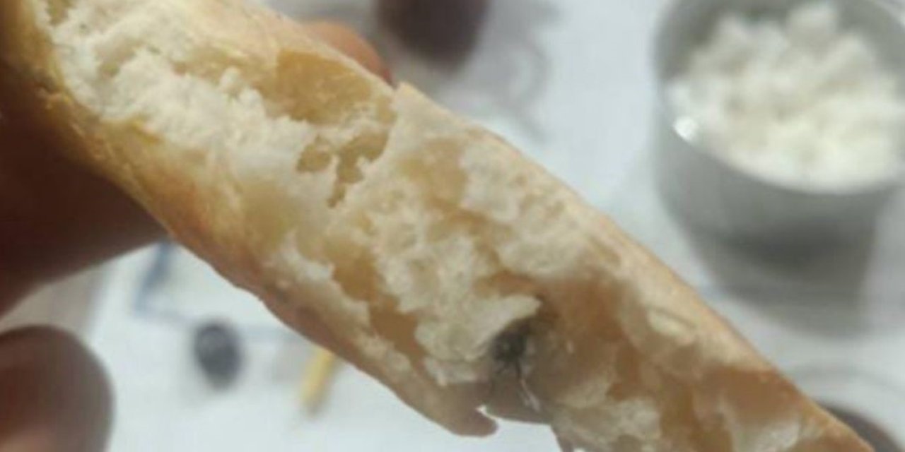 Komşu ilde Ekmeğin İçinden Sinek Çıktı