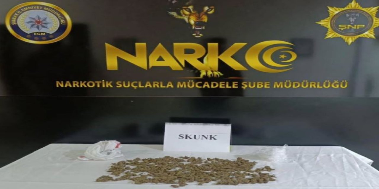 Şırnak'a Ticari Taksi ile Uyuşturucu Sokmak İsteyen 1 Kişi Yakalandı