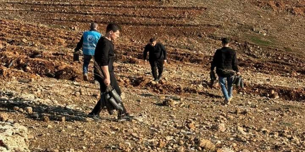 Silopi Kaymakamlığı ve Görümlü Gençleri El Ele: Nasırağa Tepesi Yeşillendirme Projesi