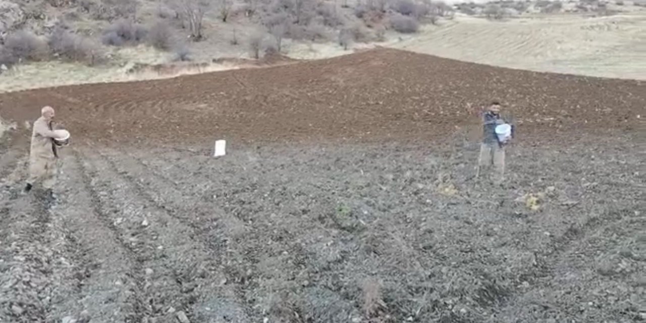 Arpalar Kar Yağmadan Toprakla Buluşuyor