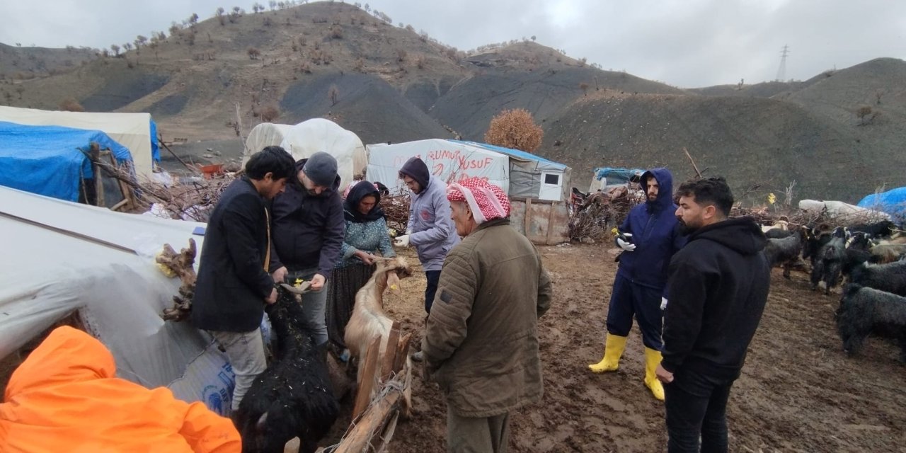 Kumçatı Beldesinde Küçükbaş Hayvanlara Yönelik Aşılama ve Küpeleme Çalışmaları Sürüyor