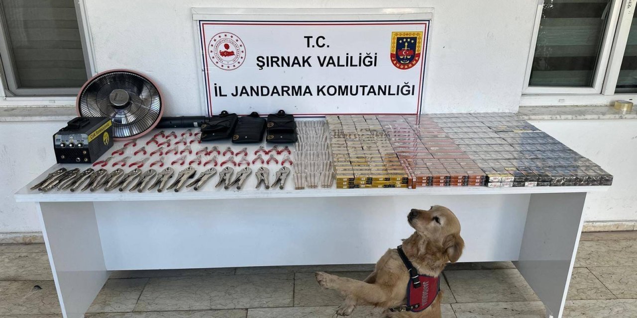 Şırnak’ta Kaçakçılık Operasyonu:113 Gözaltı, 11 Tutuklama