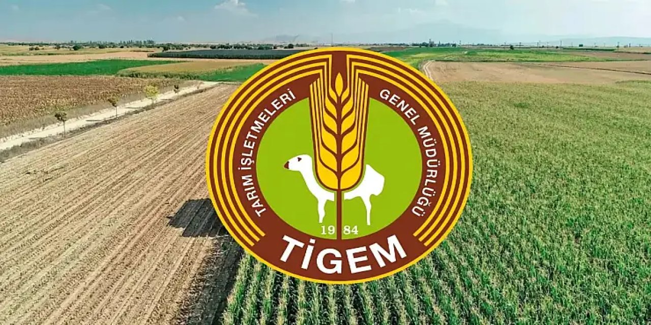 TİGEM’e 254 Sürekli İşçi Alımı Yapılacak! Listede Şırnak Var Mı?