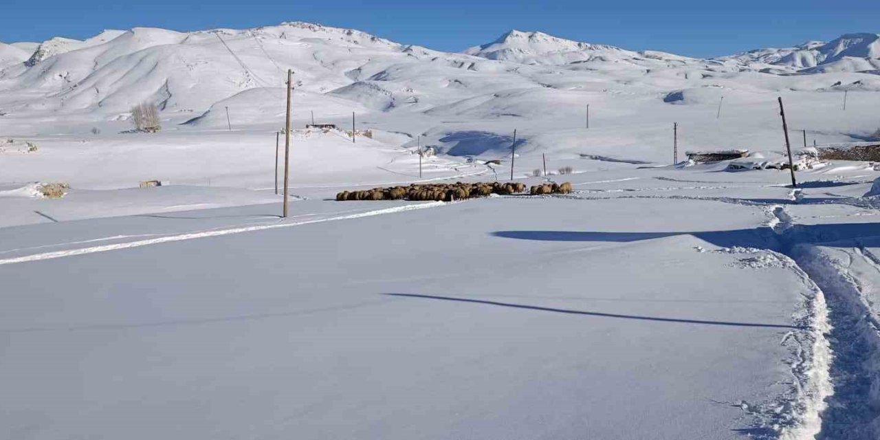 Şırnak'ta Bir Aile Koyunları İçin Dondurucu Soğukta Yaylada Kaldı