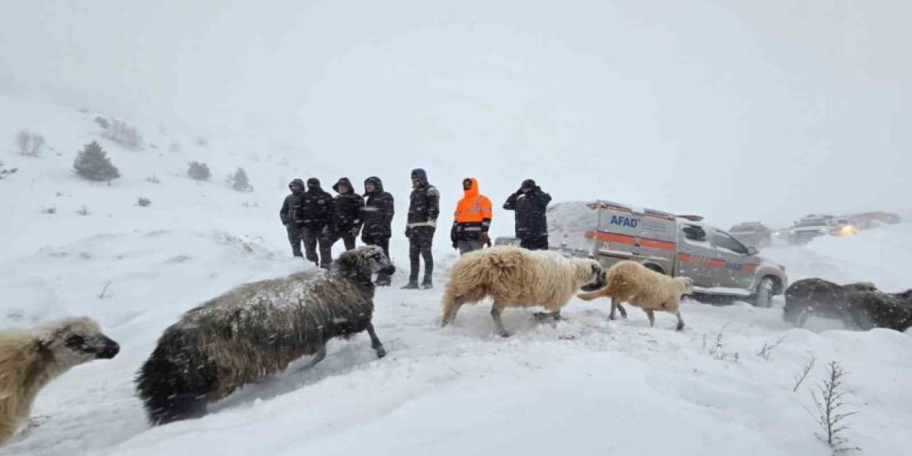 Çığ düşmesi sonucu 3 çoban kayboldu