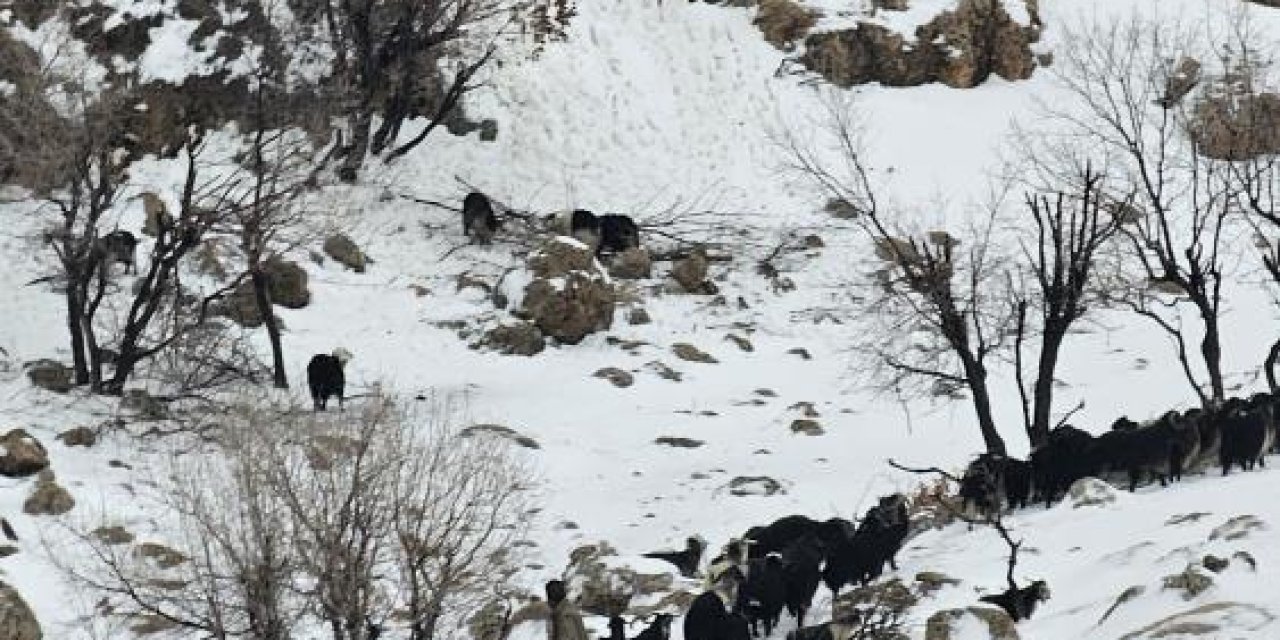 Midyat'ta kar ve tipi altında mahsur kalan çoban için ekipler seferber oldu
