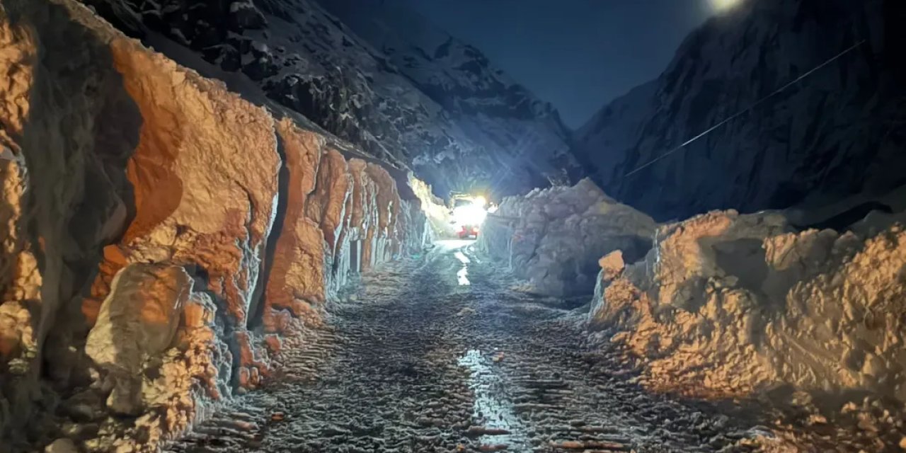 Çığ nedeniyle kapanan Hakkari-Van kara yolu açıldı