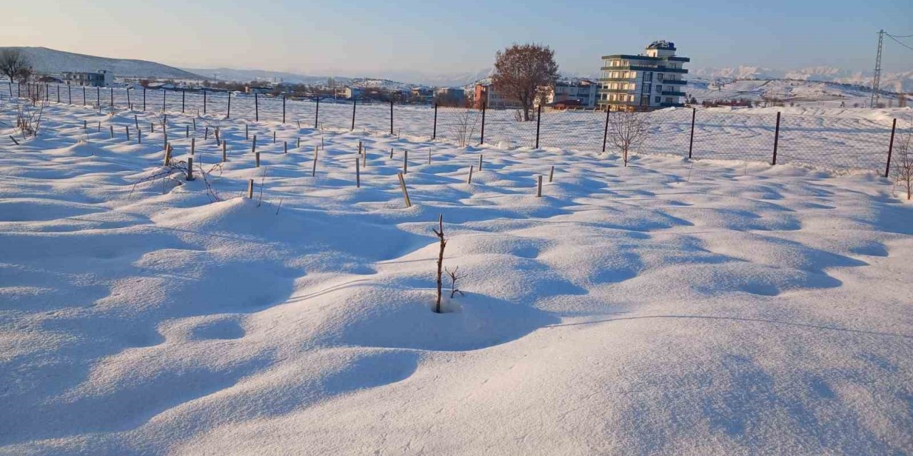 Kar Yağışı Çiftçiye Umut Oldu