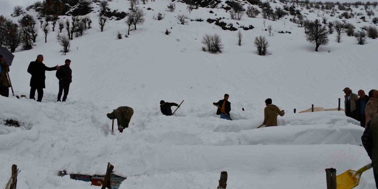 Şırnak’ta Bal Arıları Çığ Altında Kaldı