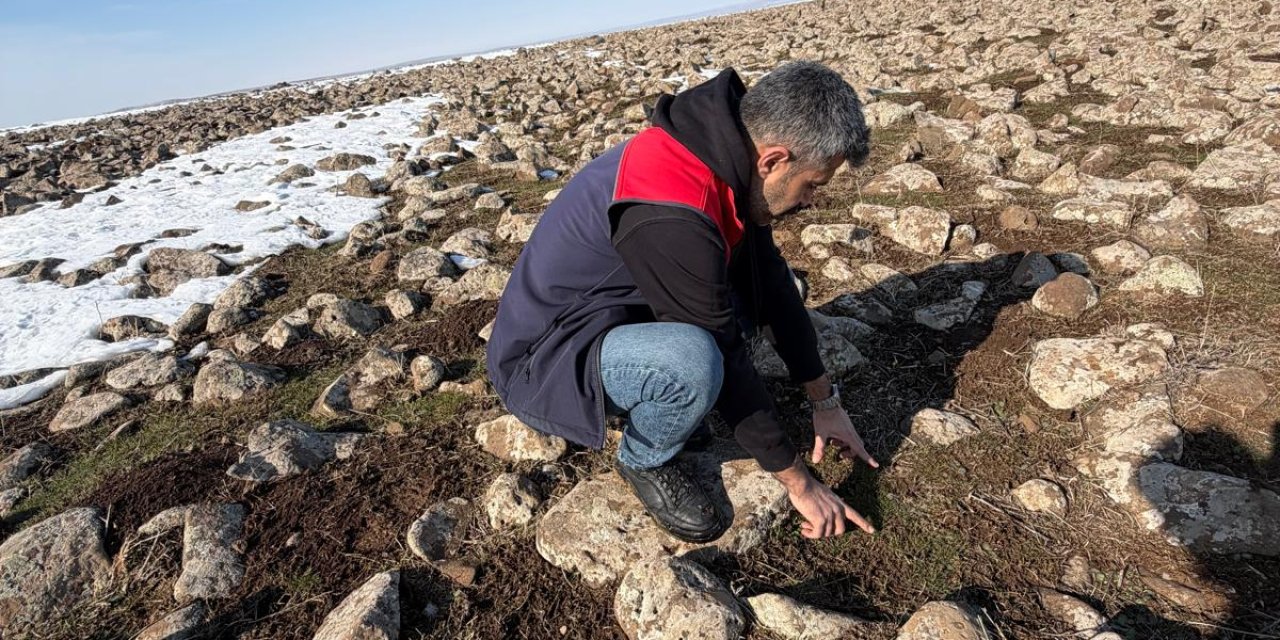 Şırnak’ta Mera Islah Projesi Kapsamında Sahada İnceleme
