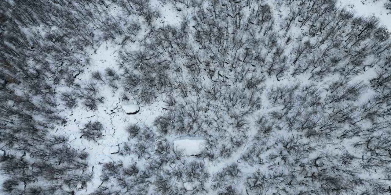 Şırnak Bal Ormanlarında Kartpostallık Görüntüler