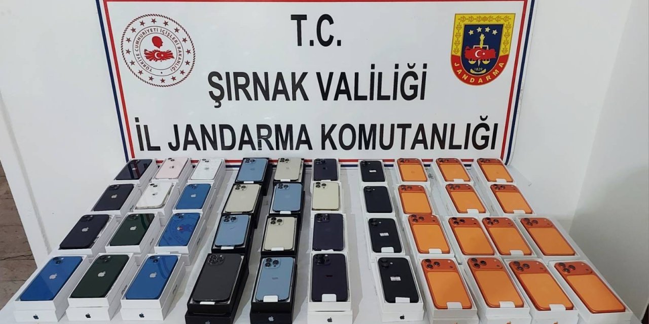 Şırnak Jandarmadan Büyük Operasyon 156 Gözaltı