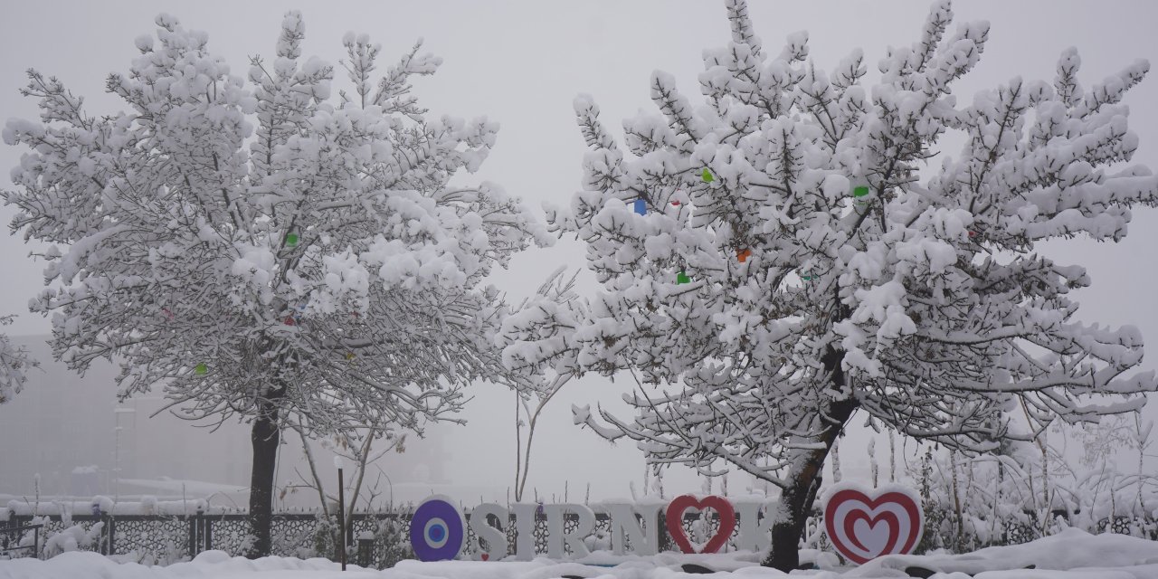 Şırnak’ta Kar Yağışı Etkili Oldu