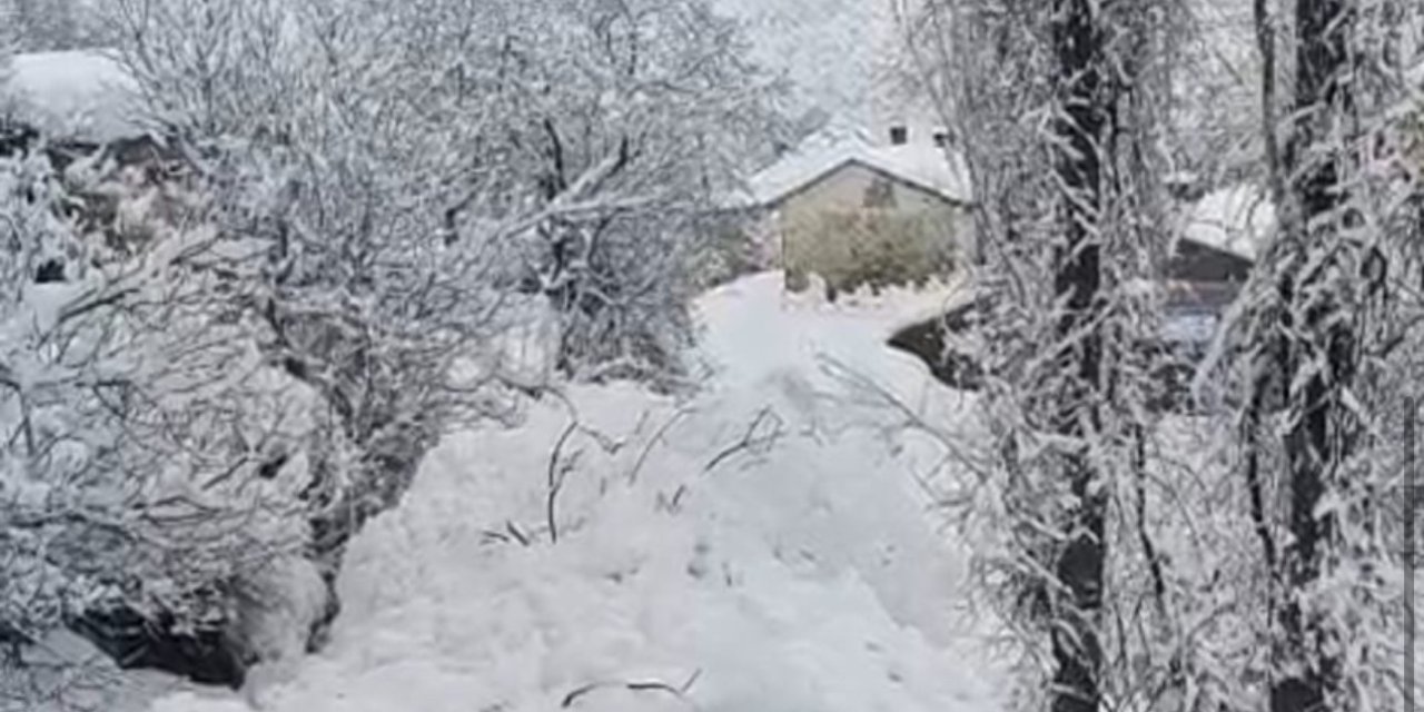 Yüksekova’da düşen çığ köye kadar ulaştı: Facianın eşiğinden dönüldü