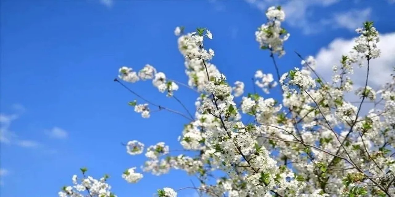 Baharın Müjdecisi Cemreler Ne Zaman Düşecek? Havaya, Suya ve Toprağa…