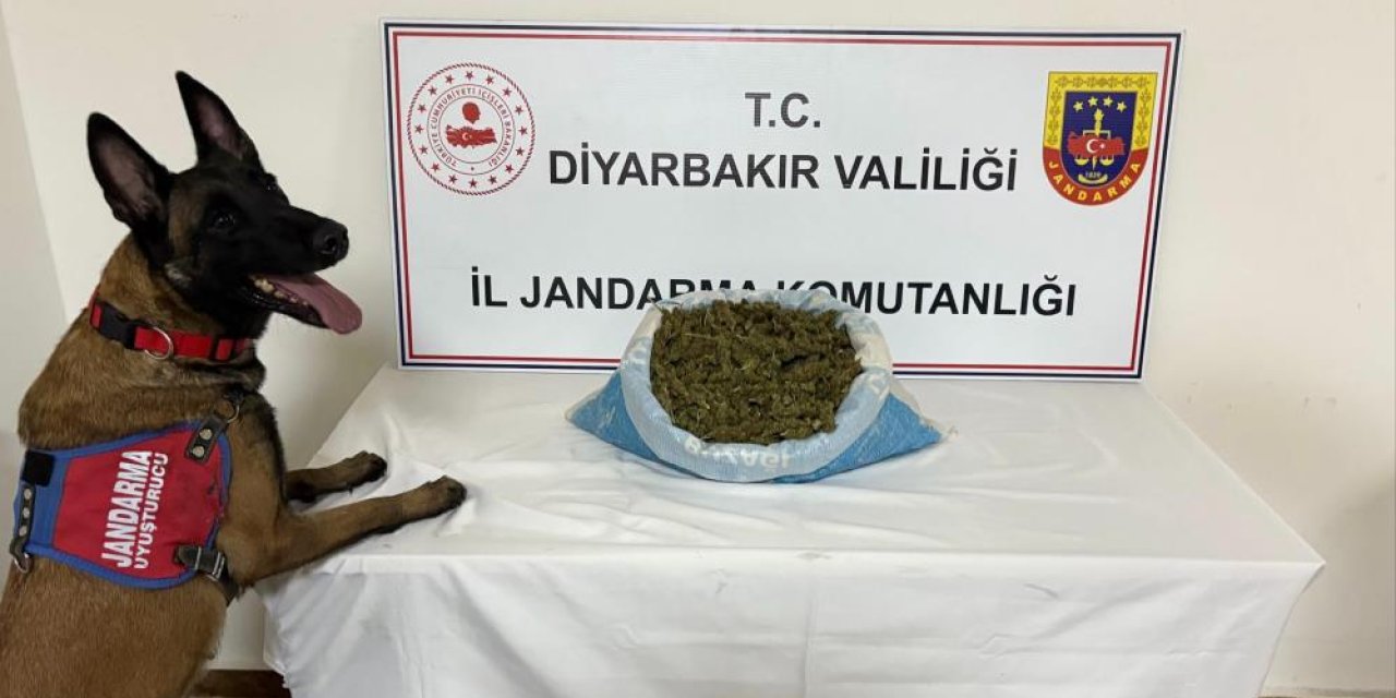Jandarma ekipleri 41 Kilo Esrar Ele Geçirildi