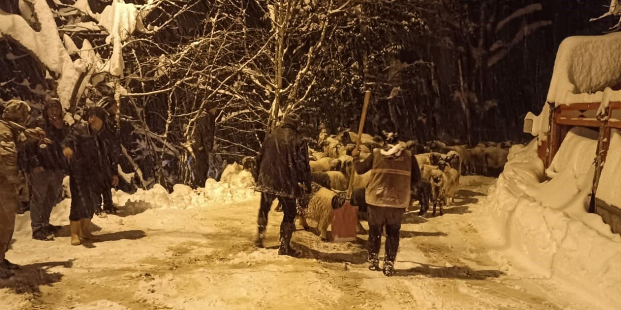 Çığ düşmesi sonucu 1 çoban hayatını kaybetti