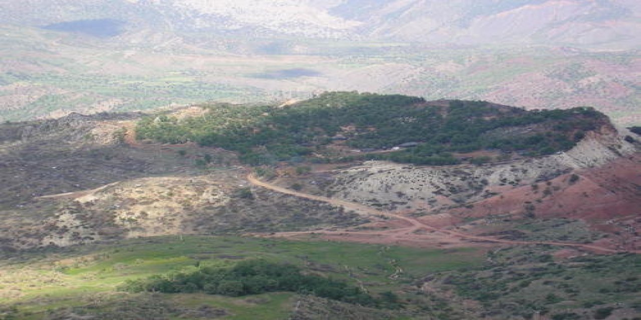 Şırnak’ta Orman Arazileriyle İlgili Kritik Süreç Başladı: 30 Günlük Askı İlanı Ne Anlama Geliyor?